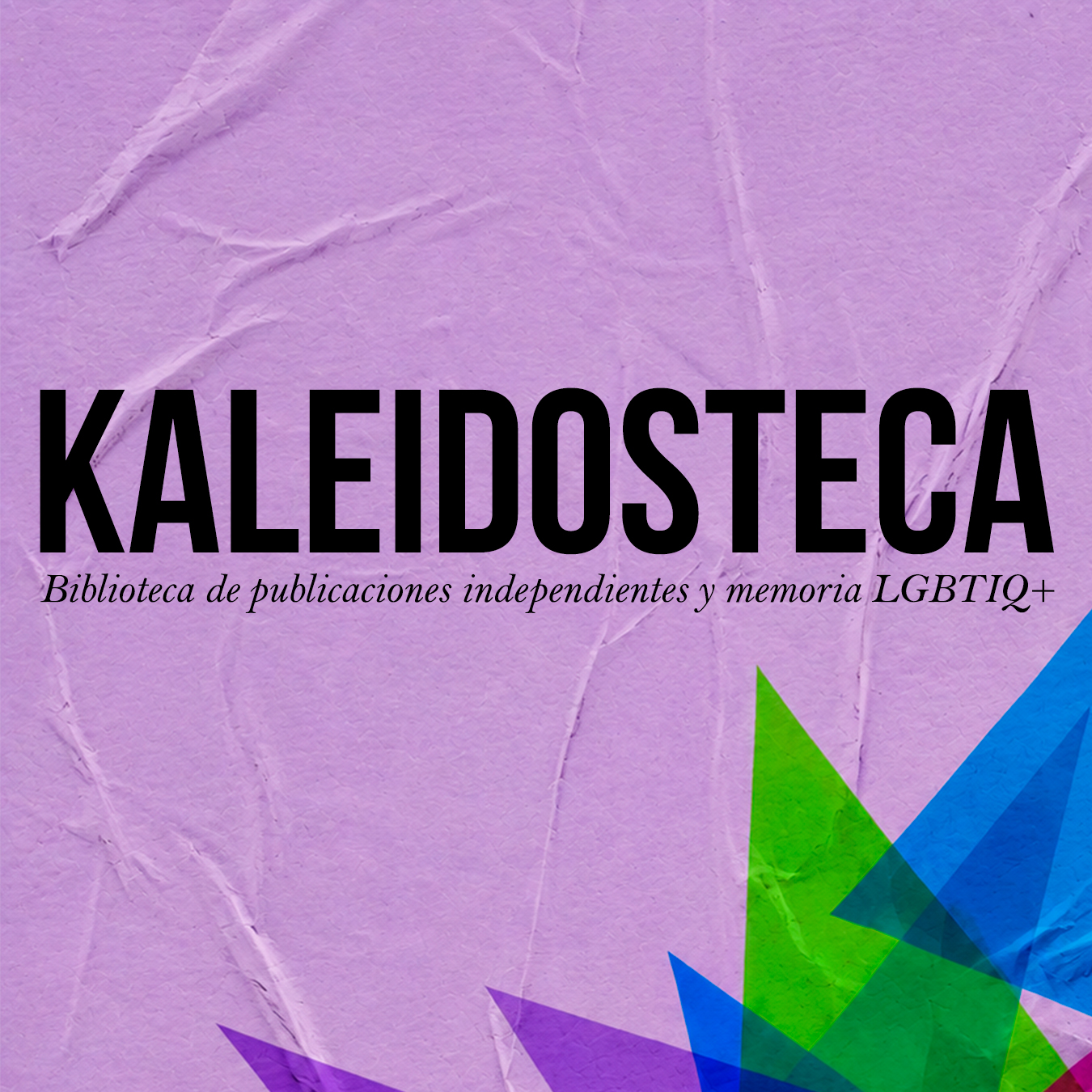 kaleidosteca logos machote instagram 9